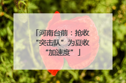 河南台前：抢收“突击队”为夏收“加速度”