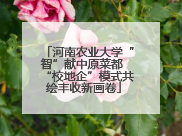 河南农业大学“智”献中原菜都 “校地企”模式共绘丰收新画卷