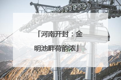 河南开封：金明池畔荷韵浓