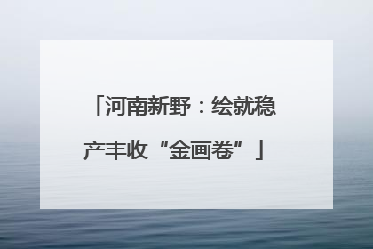 河南新野：绘就稳产丰收“金画卷”