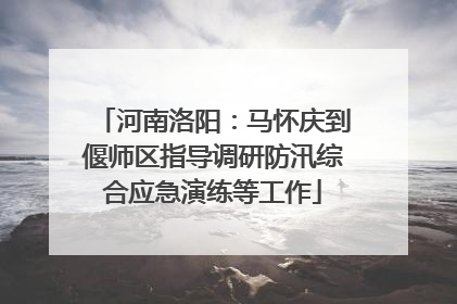 河南洛阳：马怀庆到偃师区指导调研防汛综合应急演练等工作