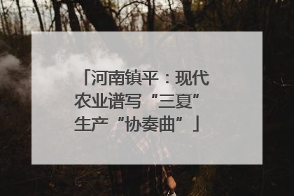河南镇平：现代农业谱写“三夏”生产“协奏曲”