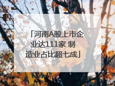 河南A股上市企业达111家 制造业占比超七成