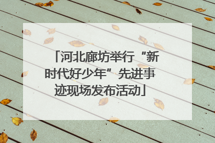 河北廊坊举行“新时代好少年”先进事迹现场发布活动