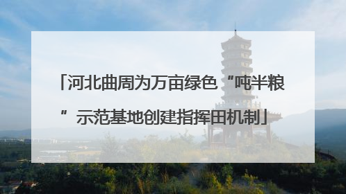 河北曲周为万亩绿色“吨半粮”示范基地创建指挥田机制