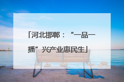 河北邯郸：“一品一播”兴产业惠民生