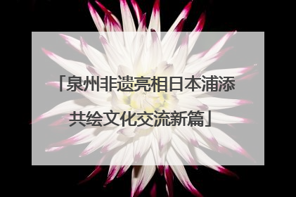 泉州非遗亮相日本浦添 共绘文化交流新篇