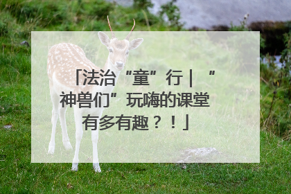 法治“童”行｜“神兽们”玩嗨的课堂有多有趣？！