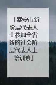 泰安市新阶层代表人士参加全省新的社会阶层代表人士培训班