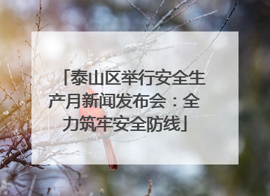 泰山区举行安全生产月新闻发布会：全力筑牢安全防线