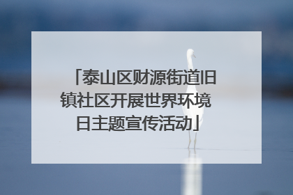 泰山区财源街道旧镇社区开展世界环境日主题宣传活动