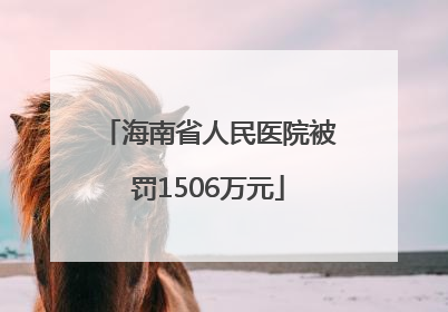 海南省人民医院被罚1506万元