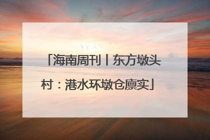 海南周刊丨东方墩头村：港水环墩仓廪实