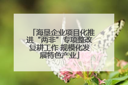 海垦企业项目化推进“两非”专项整改复耕工作 规模化发展特色产业