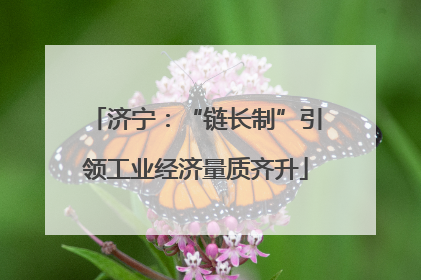 济宁：“链长制”引领工业经济量质齐升