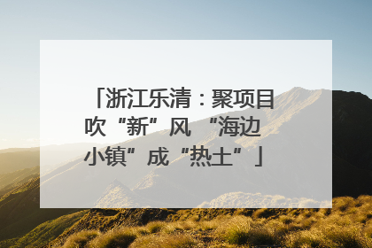 浙江乐清：聚项目吹“新”风 “海边小镇”成“热土”