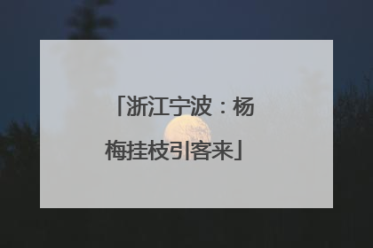 浙江宁波：杨梅挂枝引客来
