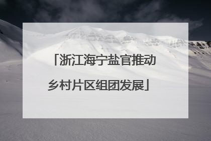 浙江海宁盐官推动乡村片区组团发展