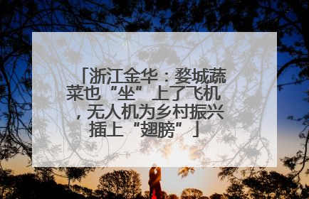 浙江金华：婺城蔬菜也“坐”上了飞机，无人机为乡村振兴插上“翅膀”