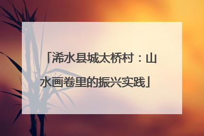 浠水县城太桥村：山水画卷里的振兴实践