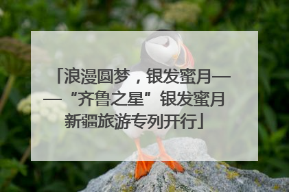 浪漫圆梦，银发蜜月——“齐鲁之星”银发蜜月新疆旅游专列开行