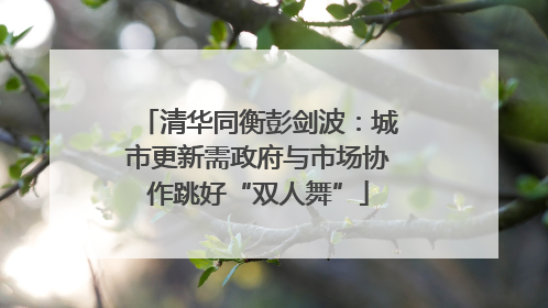 清华同衡彭剑波：城市更新需政府与市场协作跳好“双人舞”
