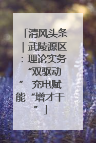 清风头条｜武陵源区：理论实务“双驱动 ” 充电赋能“增才干”