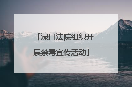 渌口法院组织开展禁毒宣传活动
