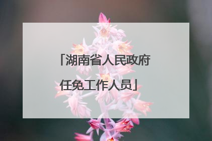 湖南省人民政府任免工作人员
