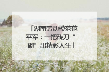 湖南劳动模范范平军：一把砖刀“砌”出精彩人生