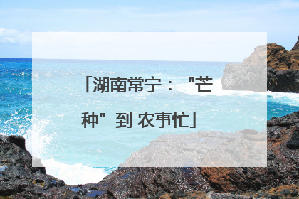 湖南常宁：“芒种”到 农事忙