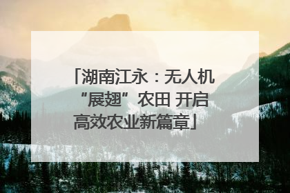 湖南江永：无人机“展翅”农田 开启高效农业新篇章