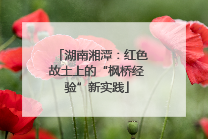 湖南湘潭：红色故土上的“枫桥经验”新实践