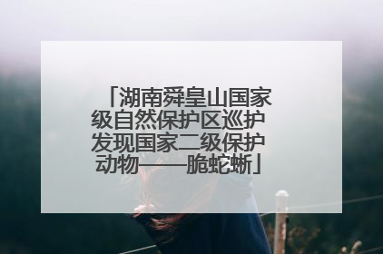 湖南舜皇山国家级自然保护区巡护发现国家二级保护动物——脆蛇蜥