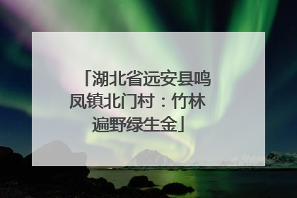 湖北省远安县鸣凤镇北门村：竹林遍野绿生金