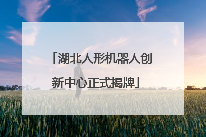 湖北人形机器人创新中心正式揭牌