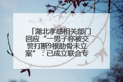 湖北孝感相关部门回应“一男子称被交警打断9根肋骨未立案”：已成立联合专班开展工作