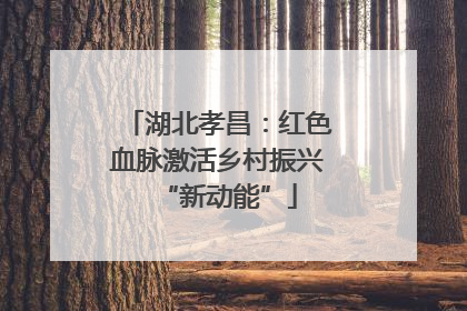 湖北孝昌：红色血脉激活乡村振兴“新动能”