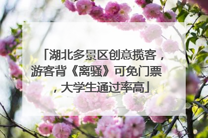 湖北多景区创意揽客，游客背《离骚》可免门票，大学生通过率高