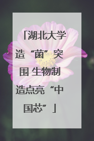 湖北大学造“菌”突围 生物制造点亮“中国芯”
