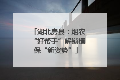 湖北房县：烟农“好帮手”解锁植保“新姿势”