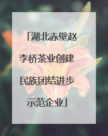 湖北赤壁赵李桥茶业创建民族团结进步示范企业