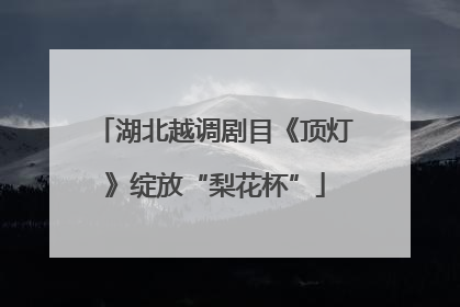 湖北越调剧目《顶灯》绽放“梨花杯”