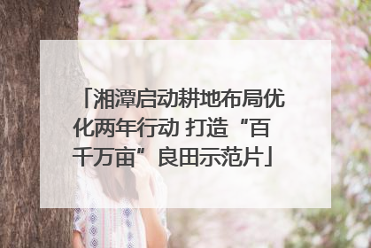 湘潭启动耕地布局优化两年行动 打造“百千万亩”良田示范片