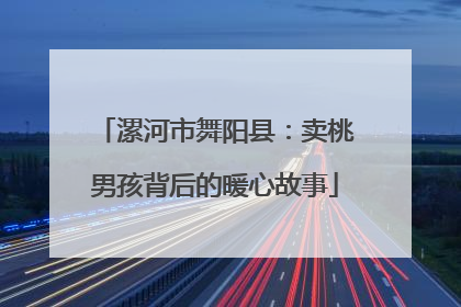 漯河市舞阳县：卖桃男孩背后的暖心故事