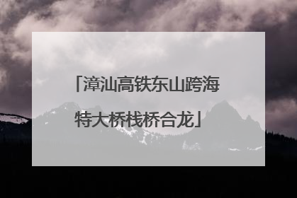 漳汕高铁东山跨海特大桥栈桥合龙
