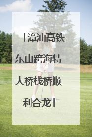 漳汕高铁东山跨海特大桥栈桥顺利合龙