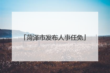菏泽市发布人事任免