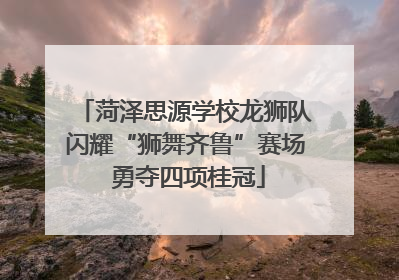 菏泽思源学校龙狮队闪耀“狮舞齐鲁”赛场 勇夺四项桂冠
