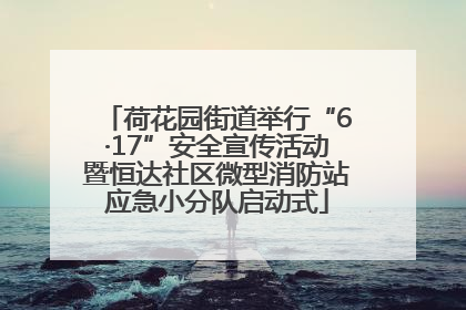 荷花园街道举行“6·17”安全宣传活动暨恒达社区微型消防站应急小分队启动式